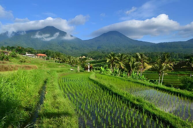 Waterfall Tour: North Bali Best Waterfalls - Exercise, clothing, and what to carry