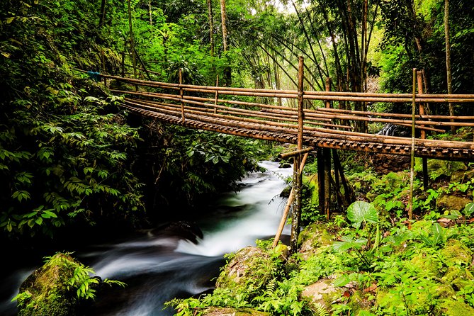 Waterfalls Tour - Why Tumpak Sewu is worth the long day