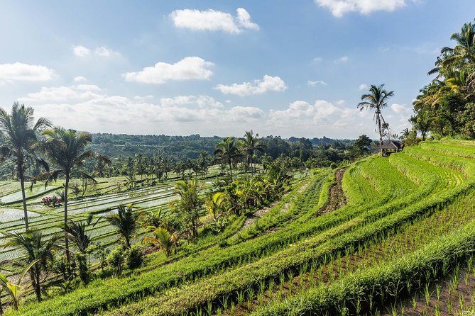 West Bali Tour: Taman Ayun, Ulun Danu Beratan, Jatiluwih Rice Terrace, Tanah Lot - What your driver adds to the day