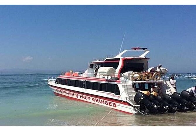 West Nusa Penida Full-Day Private Tour - Why this west-coast tour works as a first look at Nusa Penida