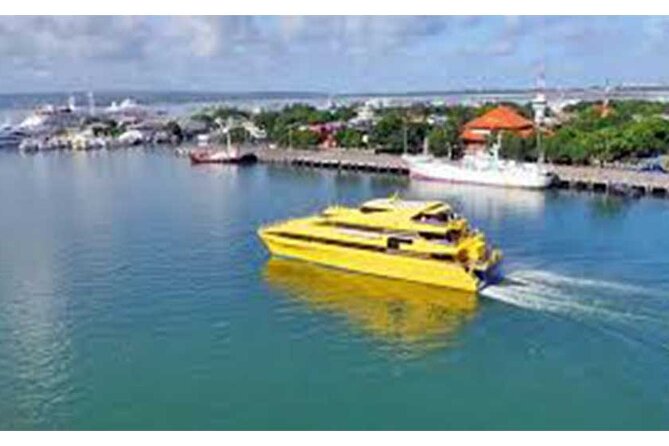 West Nusa Penida Full-Day Private Tour - What the private format changes