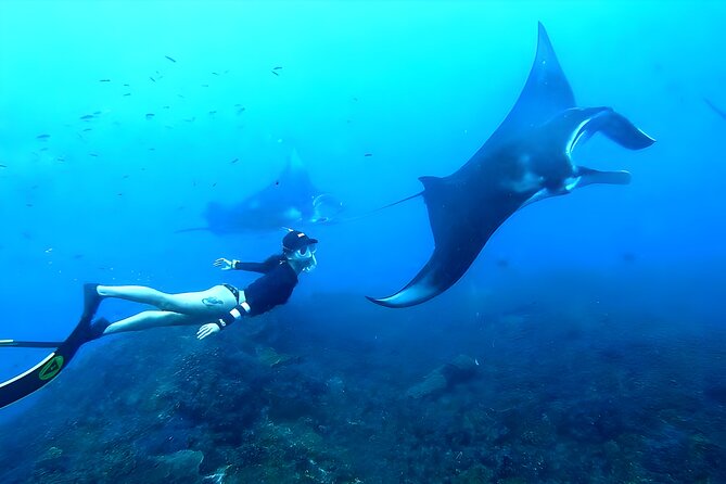 West Nusa Penida Island Snorkeling Tour - From Bali Island - A 6:30 am start from Seminyak