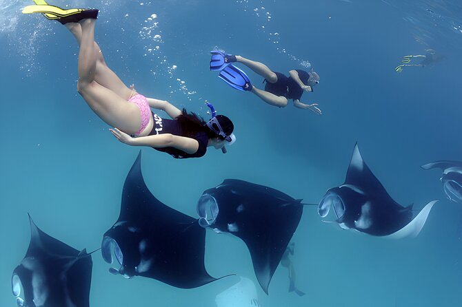 West Nusa Penida Island Snorkeling Tour - From Bali Island - Who will get the most from this tour