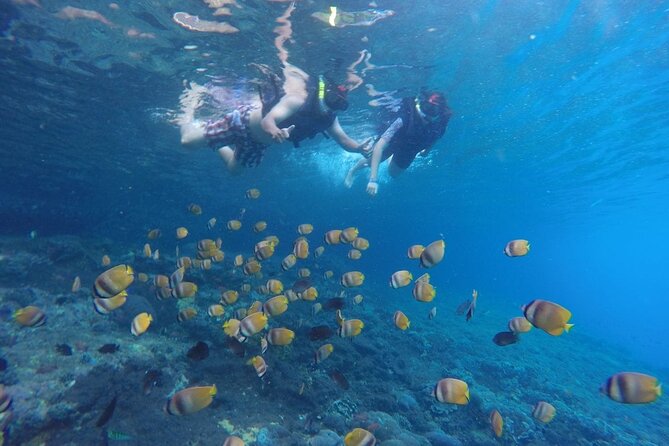 West Nusa Penida With Snorkeling Private Guided Tour - Three snorkeling stops before the island crowds
