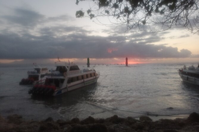 West Nusa Penida With Snorkeling Private Guided Tour - Crystal Bay: turtles and the final swim