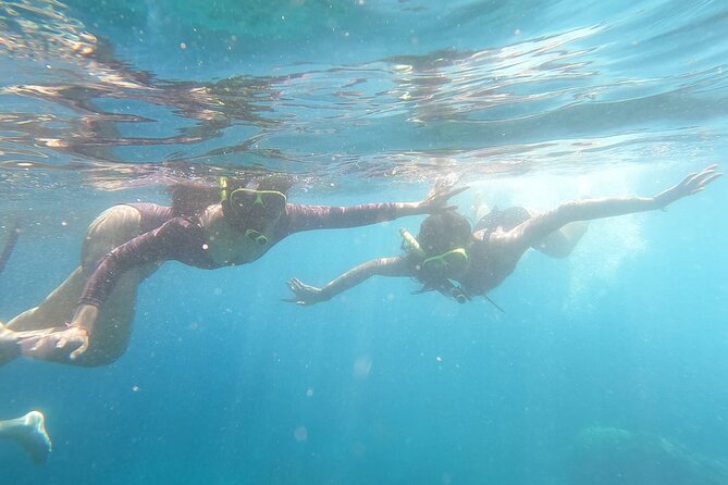 West Nusa Penida With Snorkeling Private Guided Tour - Kelingking Beach: the famous view without the long walk