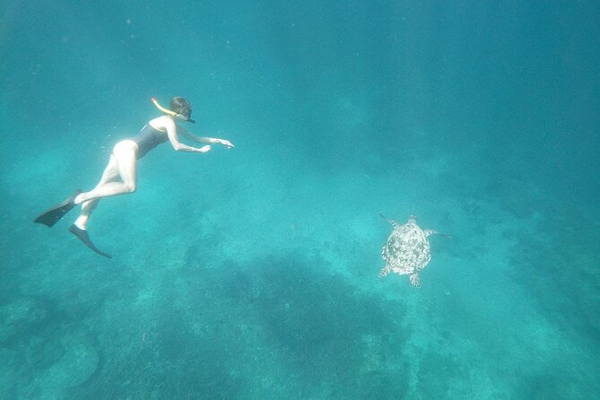 West Nusa Penida With Snorkeling Private Guided Tour - Manta Point: wildlife first, promises second